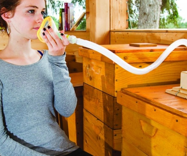 Bienenstockluft - und weitere Hilfe der Bienen bei Atemwegsbeschwerden